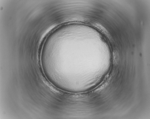 X0000070880780200607071947