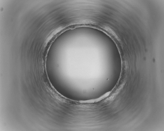 X0000070880781200607071947