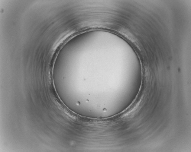 X0000070880782200607071947