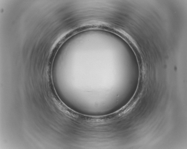 X0000070880783200607071947