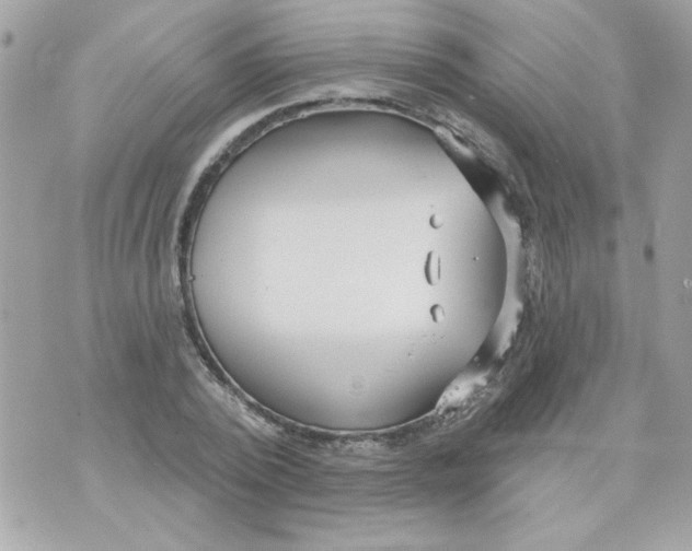 X0000070880784200607071947