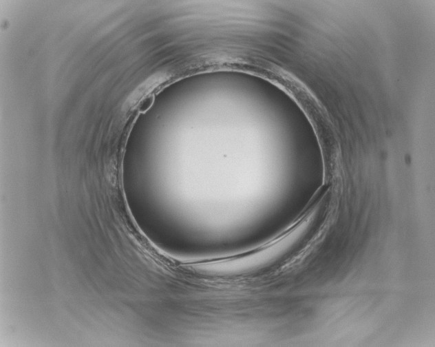 X0000070880785200607071947