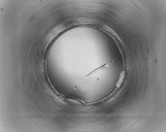 X0000070880786200607071946