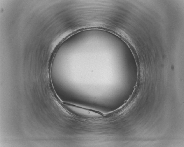 X0000070880789200607071946