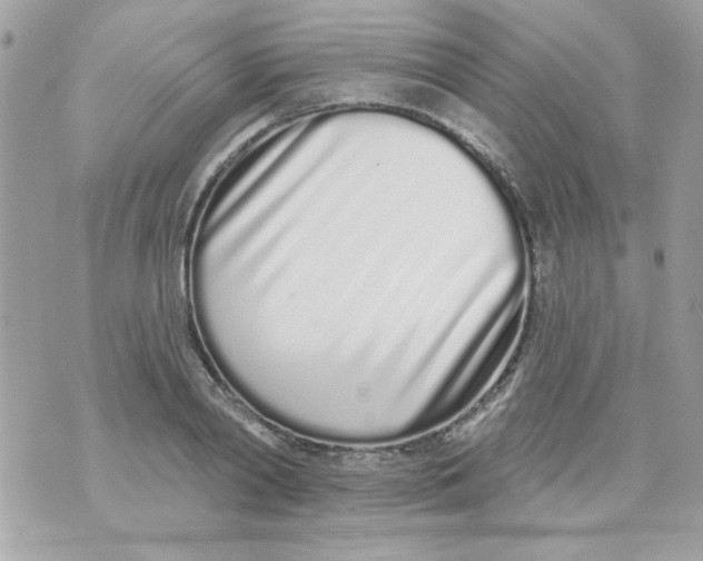 X0000070880790200607071946