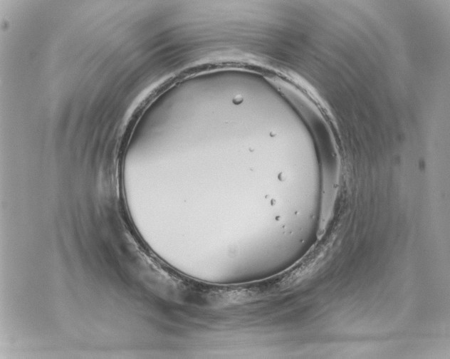 X0000070880791200607071946