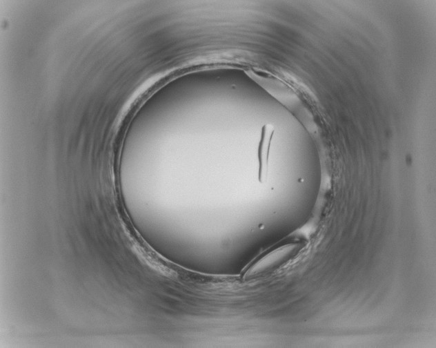 X0000070880792200607071946