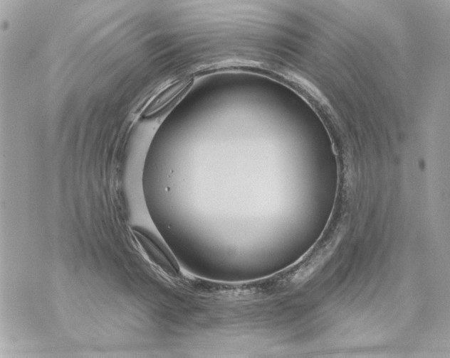 X0000070880793200607071946