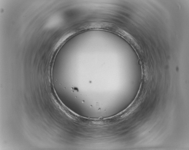 X0000070880794200607071946