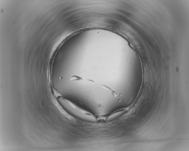 X0000070880796200607071946