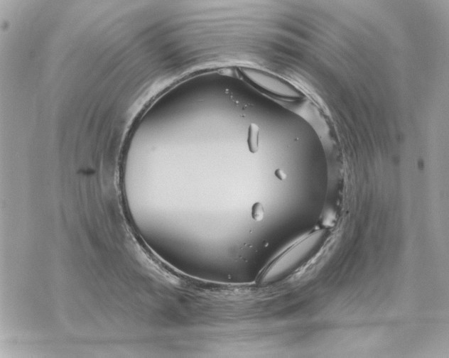 X0000070880797200607071946