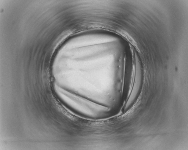 X0000070880798200607071946