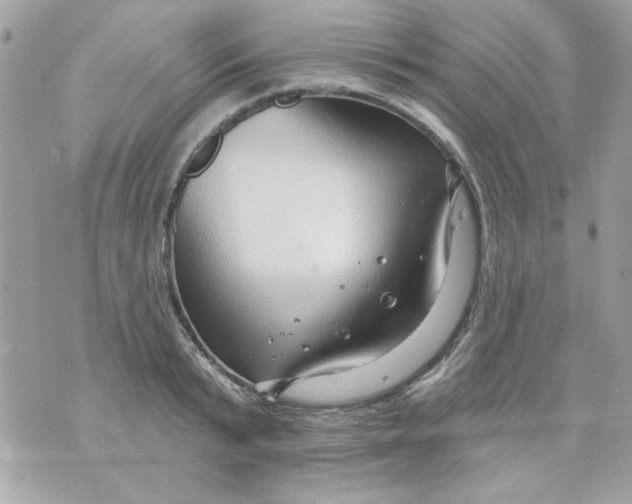 X0000070880799200607071946