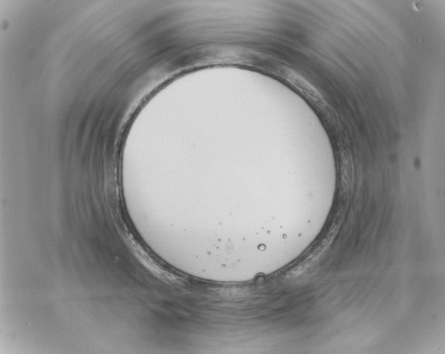 X0000070880800200607071946