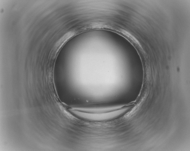 X0000070880801200607071946