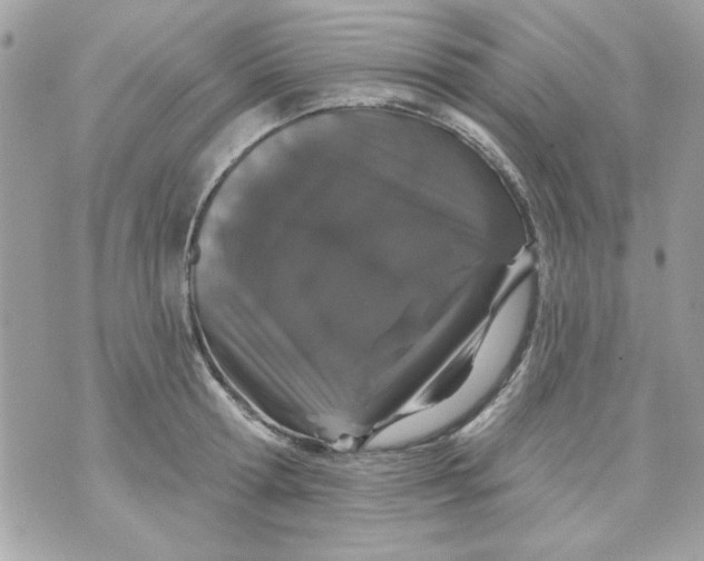 X0000070880802200607071946