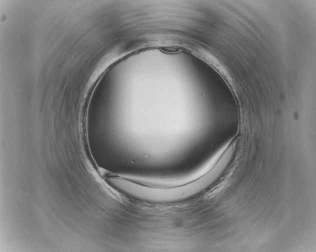 X0000070880803200607071946