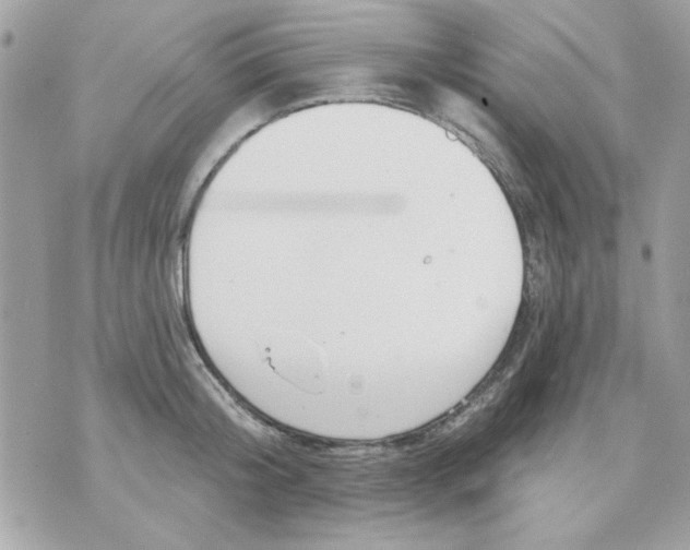 X0000070880804200607071946