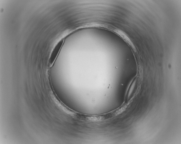 X0000070880805200607071946