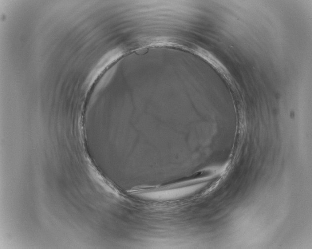 X0000070880806200607071946