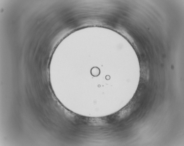 X0000070880807200607071946