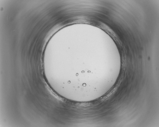 X0000070880808200607071946