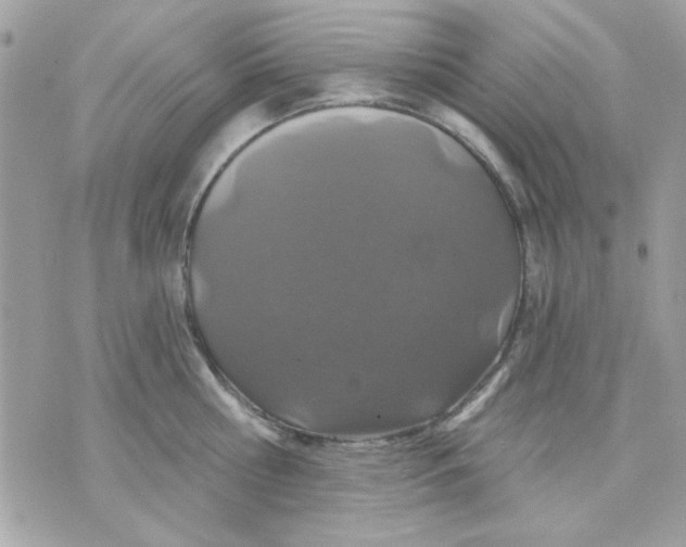 X0000070880810200607071946