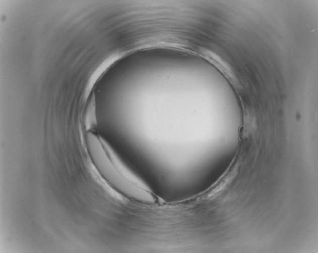 X0000070880812200607071946