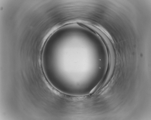 X0000070880813200607071946