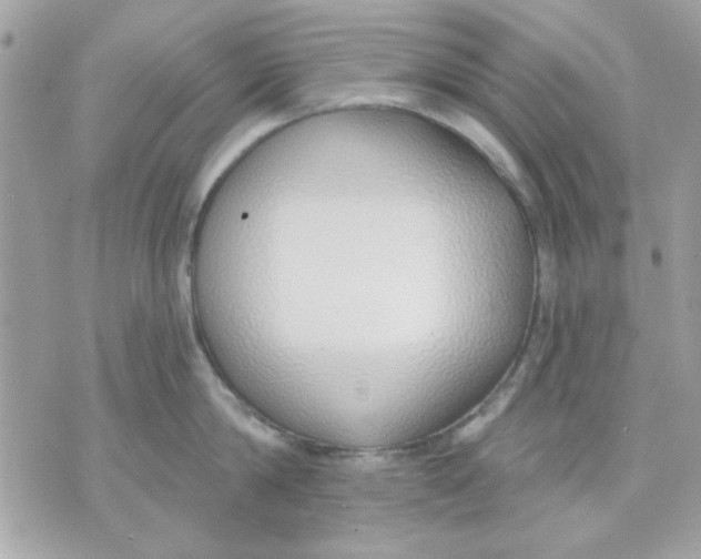 X0000070880814200607071946