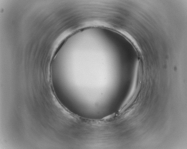 X0000070880815200607071946