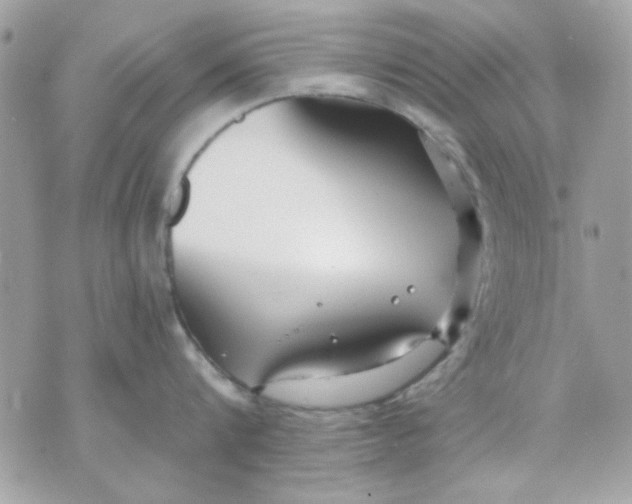 X0000070880816200607071946