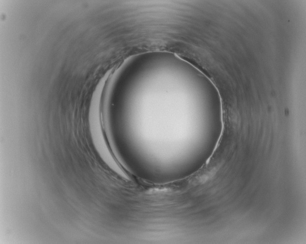 X0000070880818200607071945