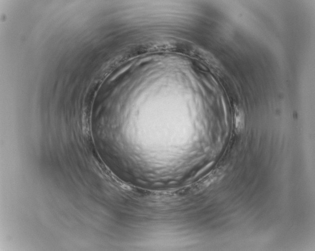 X0000070880819200607071945