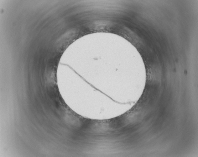 X0000070880820200607071945