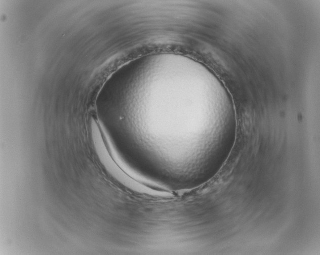 X0000070880821200607071945