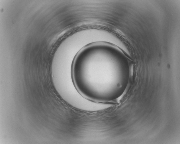 X0000070880822200607071945