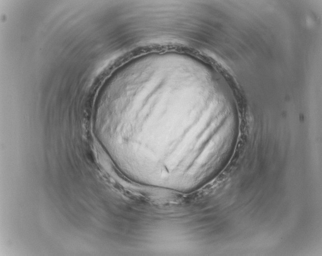 X0000070880823200607071945