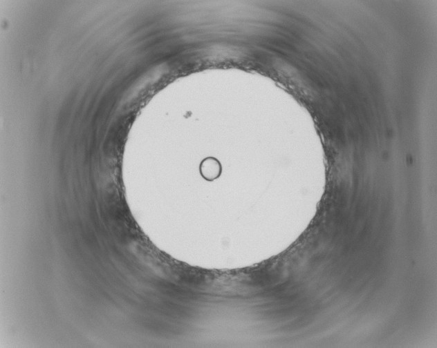 X0000070880824200607071945