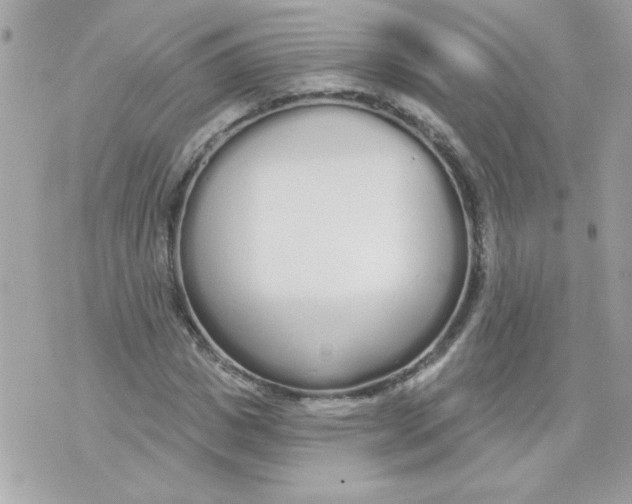 X0000070880825200607071945