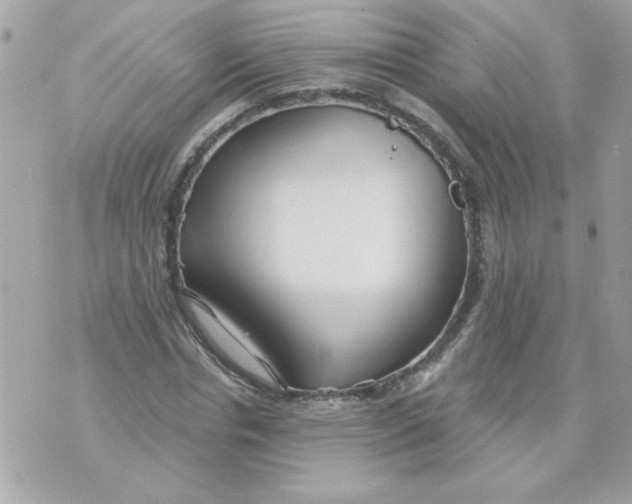 X0000070880826200607071945