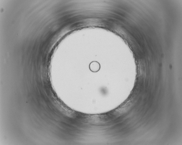 X0000070880828200607071945