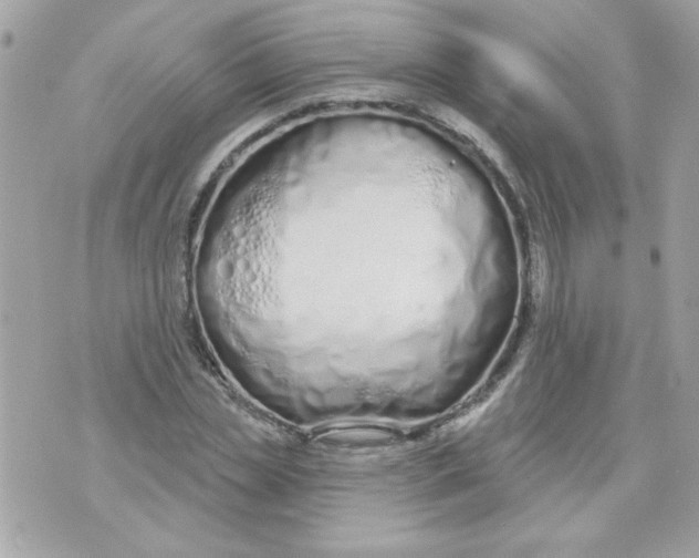 X0000070880829200607071945