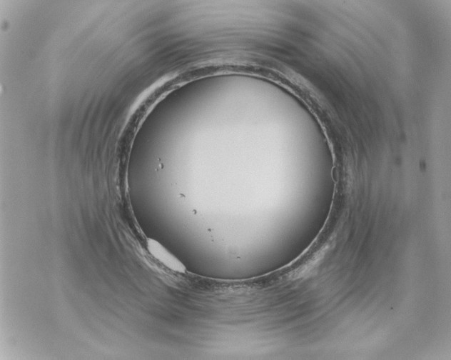 X0000070880830200607071945