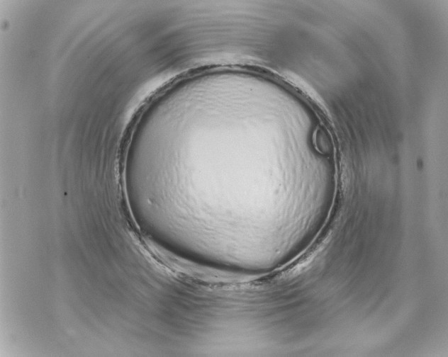 X0000070880831200607071945