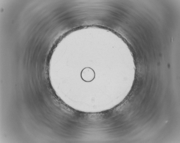 X0000070880832200607071945