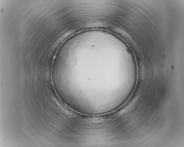 X0000070880833200607071945