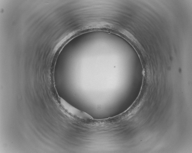 X0000070880834200607071946