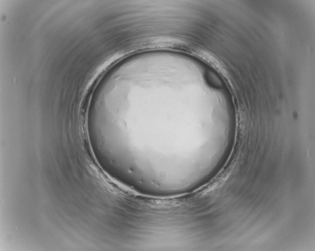 X0000070880835200607071946