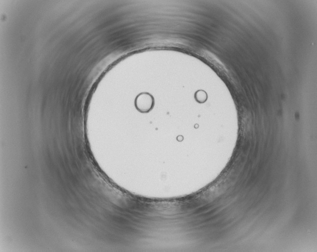 X0000070880836200607071946